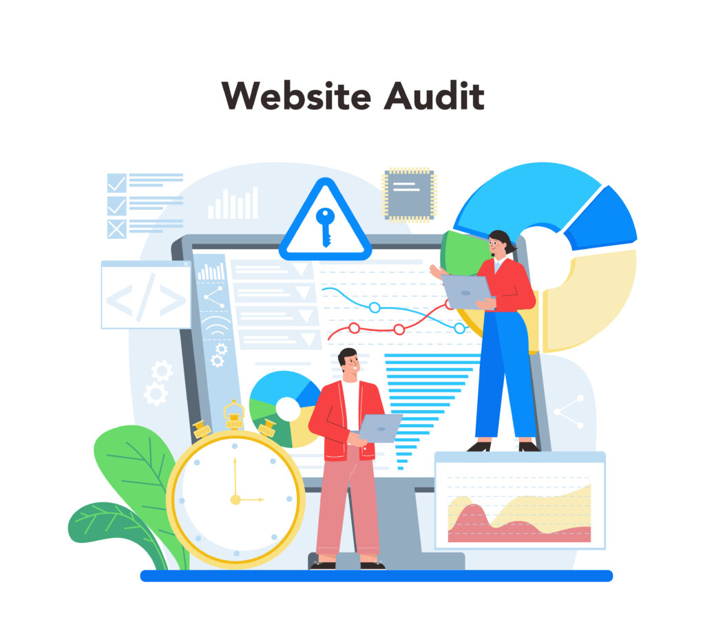 website audit